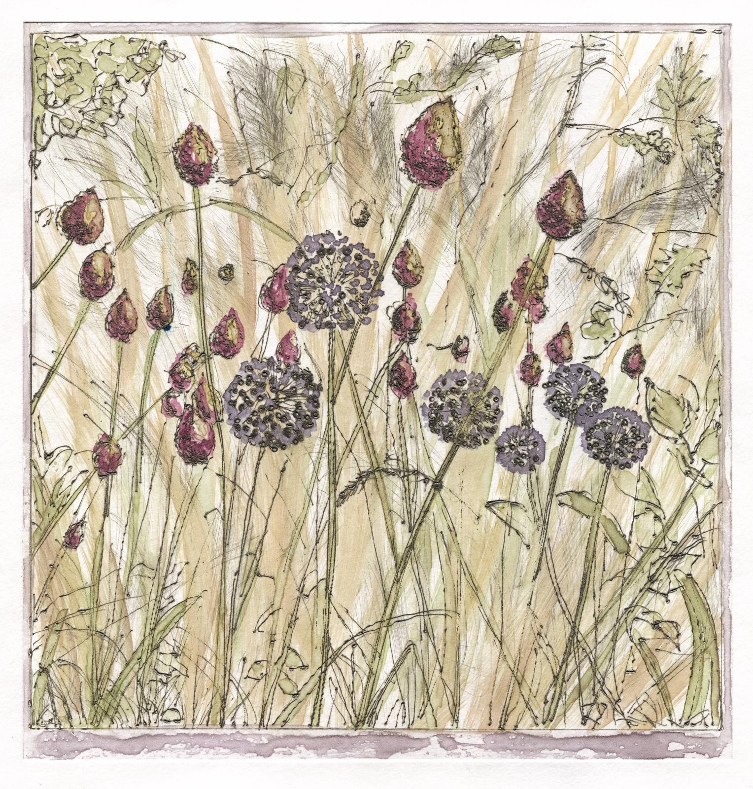 Summer Meadow